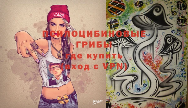 герыч Алексин