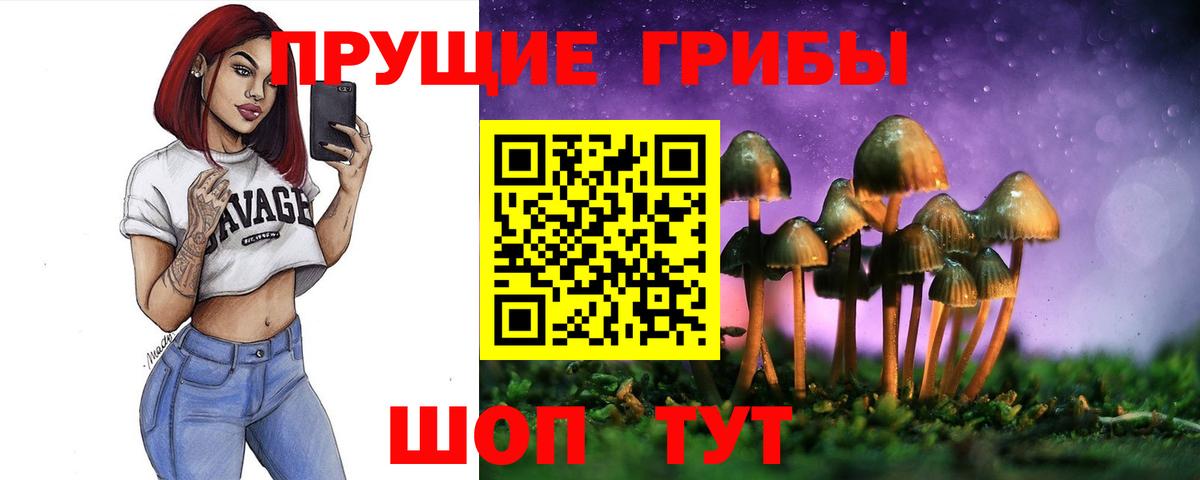 Галлюциногенные грибы Psilocybe  Вход с VPN  Волжский 